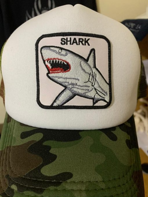 GORROS